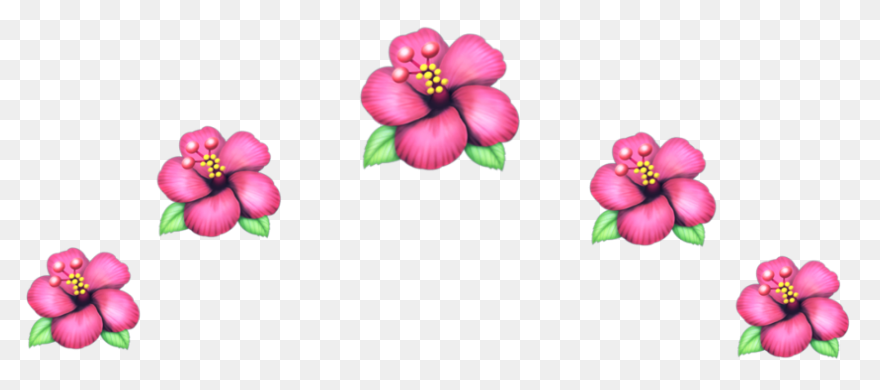 Download Snapchat Flower Crown Clip