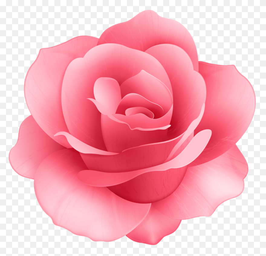 Download Snapchat Flower Crown Clip