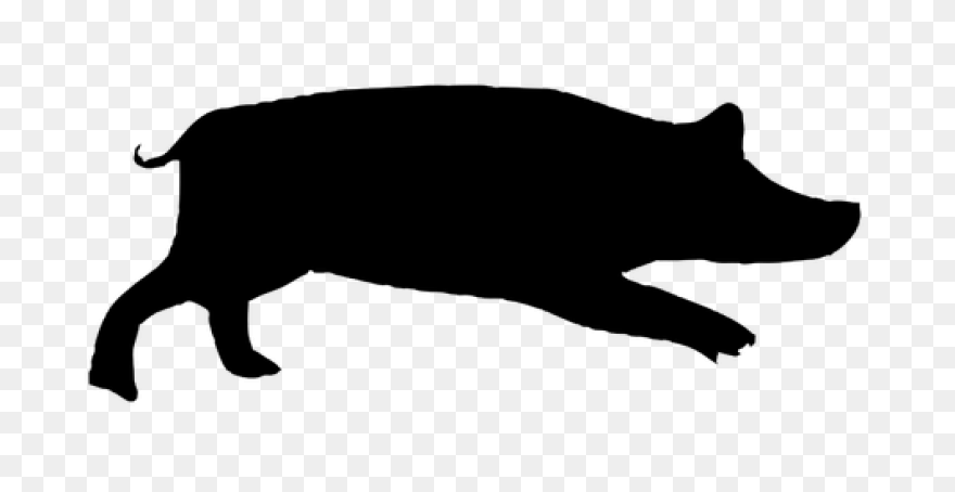 Pig Silhouette | Public Domain - Pig Silhouette