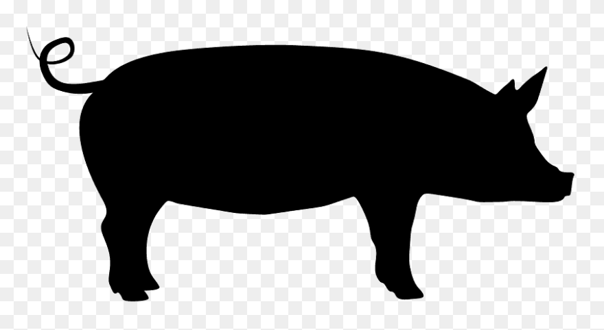 Pig Silhouette | Public Domain Vect