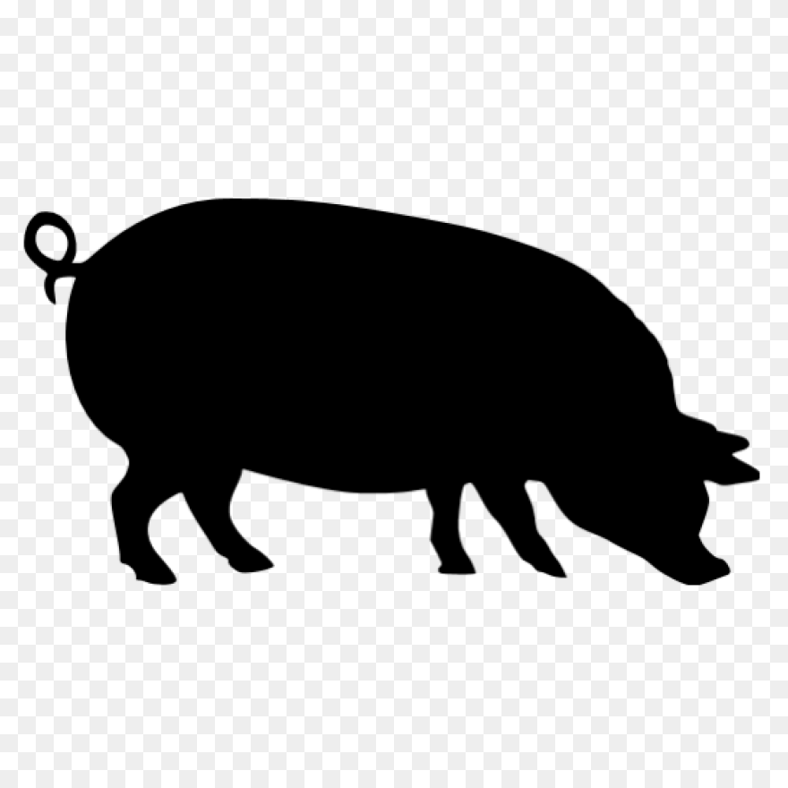 Pig Silhouette | Public Domain Vect