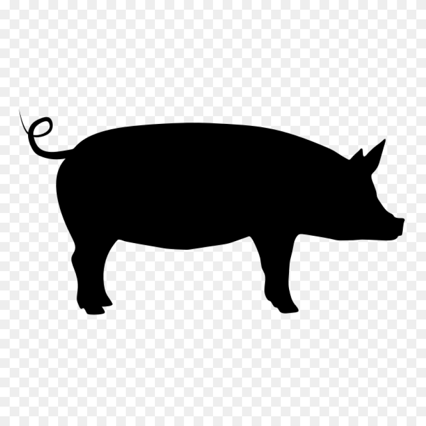 Pig Silhouette | Public Domain Vect