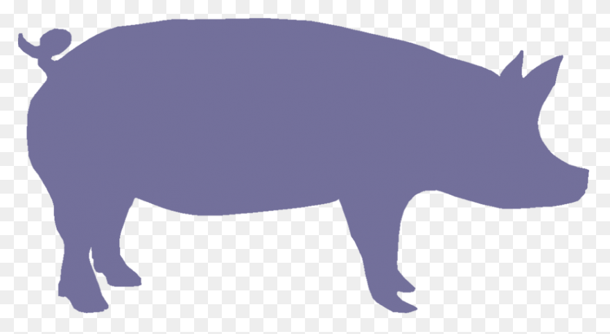 Pig Silhouette | Public Domain Vect