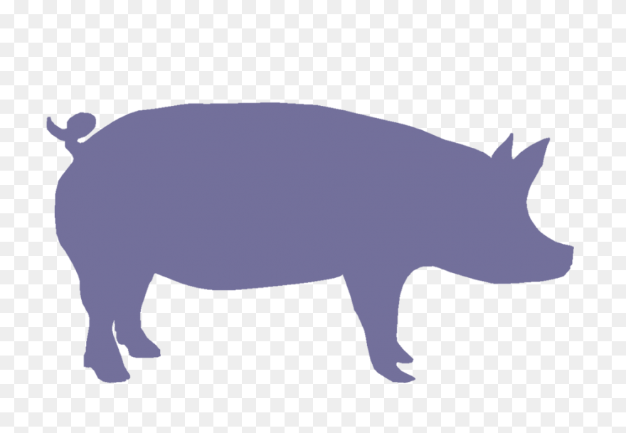 Pig Silhouette | Public Domain Vect