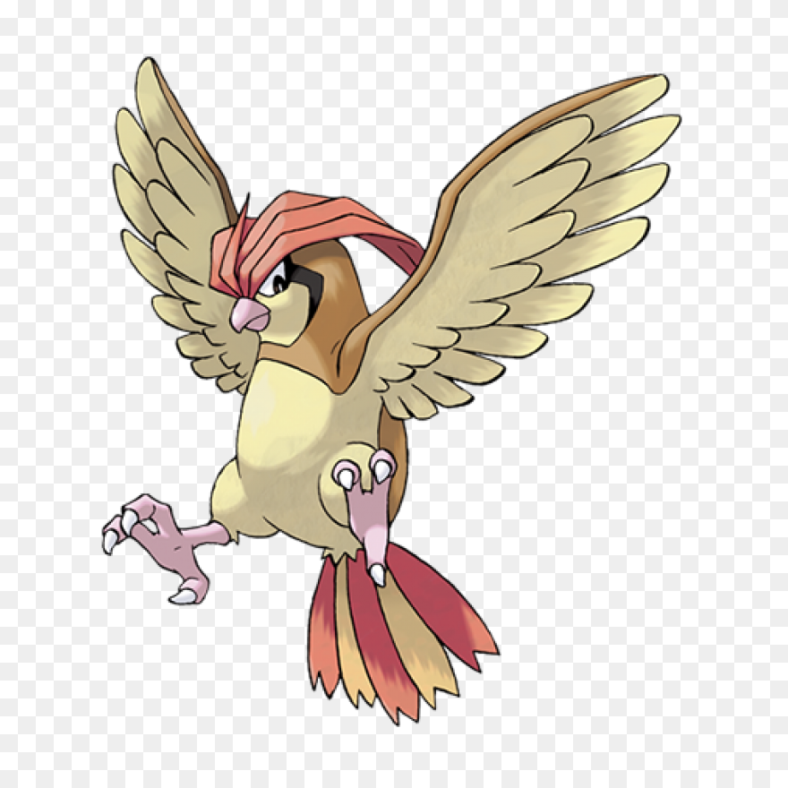 Pidgeot V2 | Pokemon, Chibi, Fan Ar