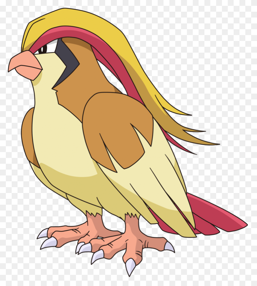 Pidgeot V2 | Pokemon, Chibi, Fan Ar