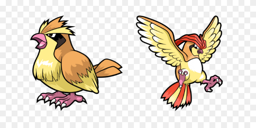 Pidgeot V2 | Pokemon, Chibi, Fan Ar