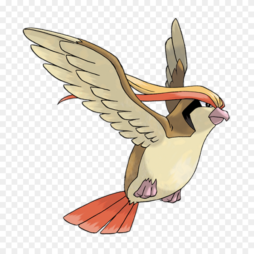 Pidgeot V2 | Pokemon, Chibi, Fan Ar