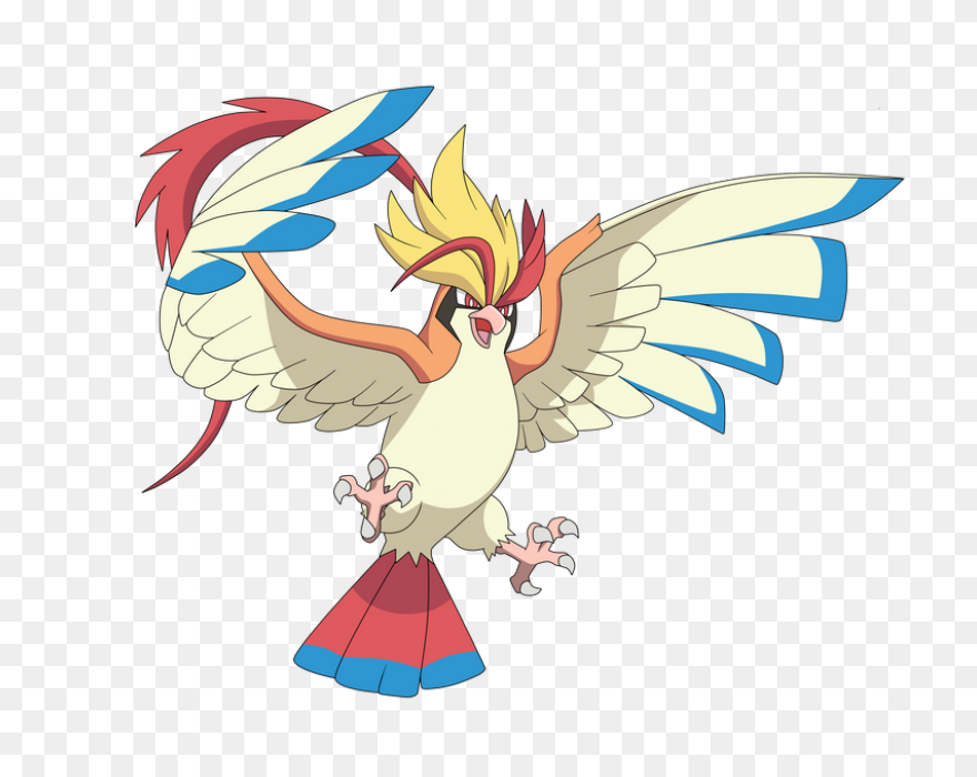Pidgeot V2 | Pokemon, Chibi, Fan Ar