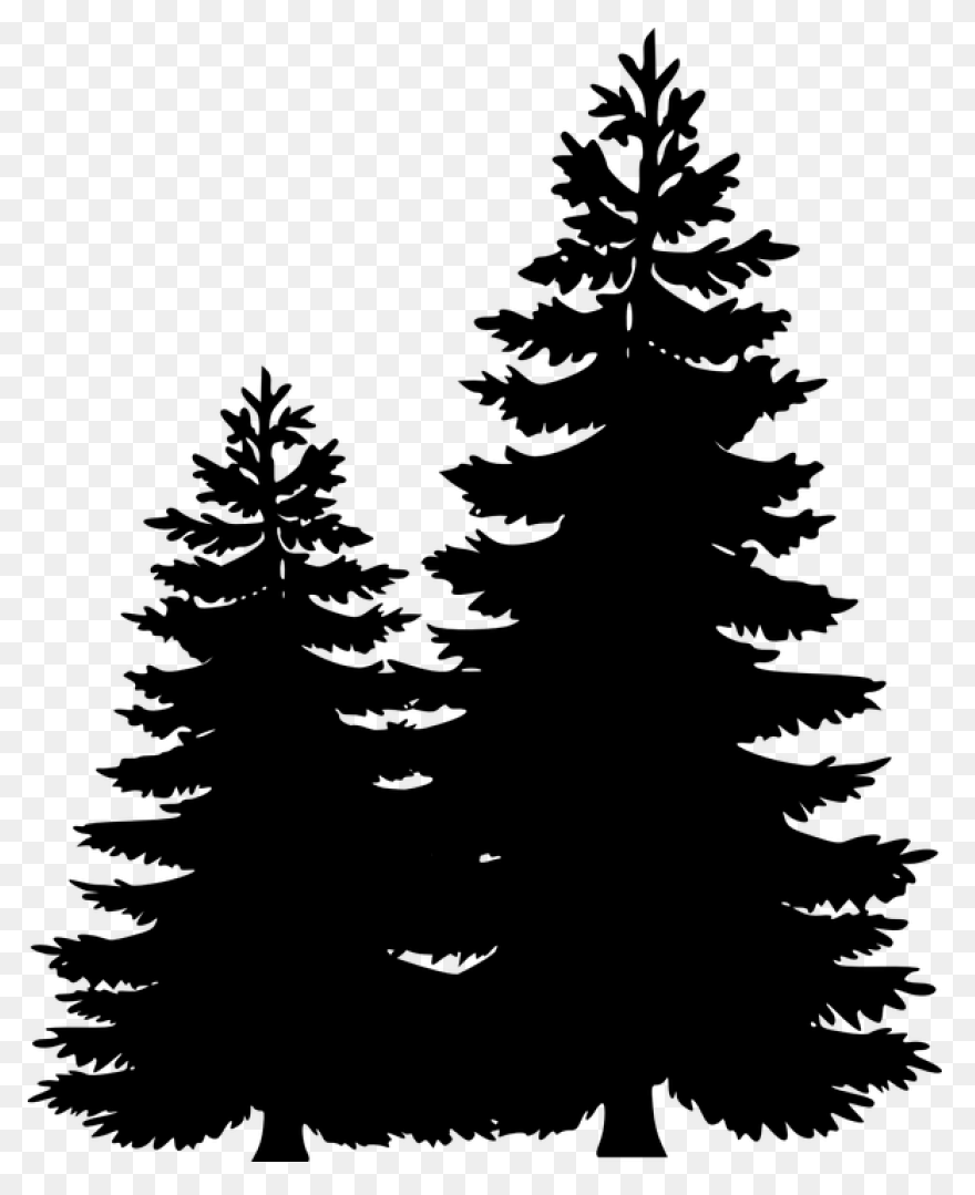Pine Tree Clipart Free Images 2 - C