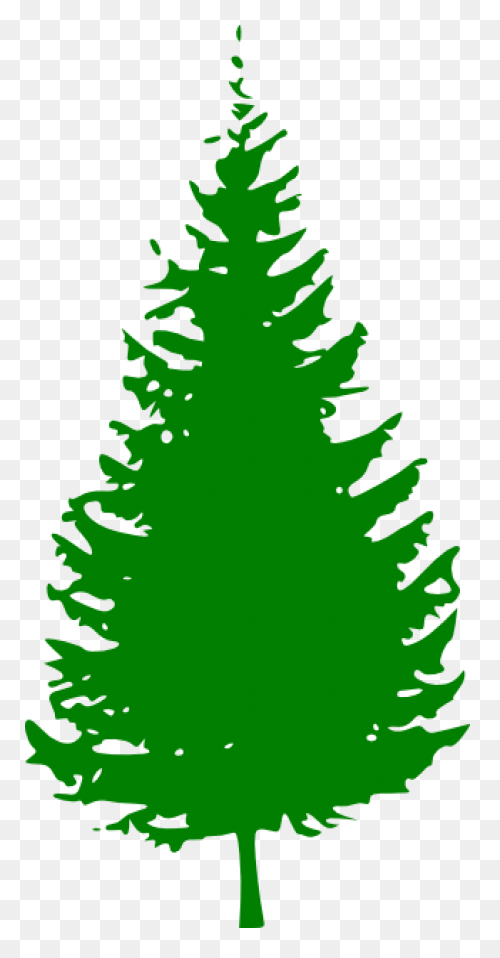 Pine Tree Clipart Free Images 2 - C