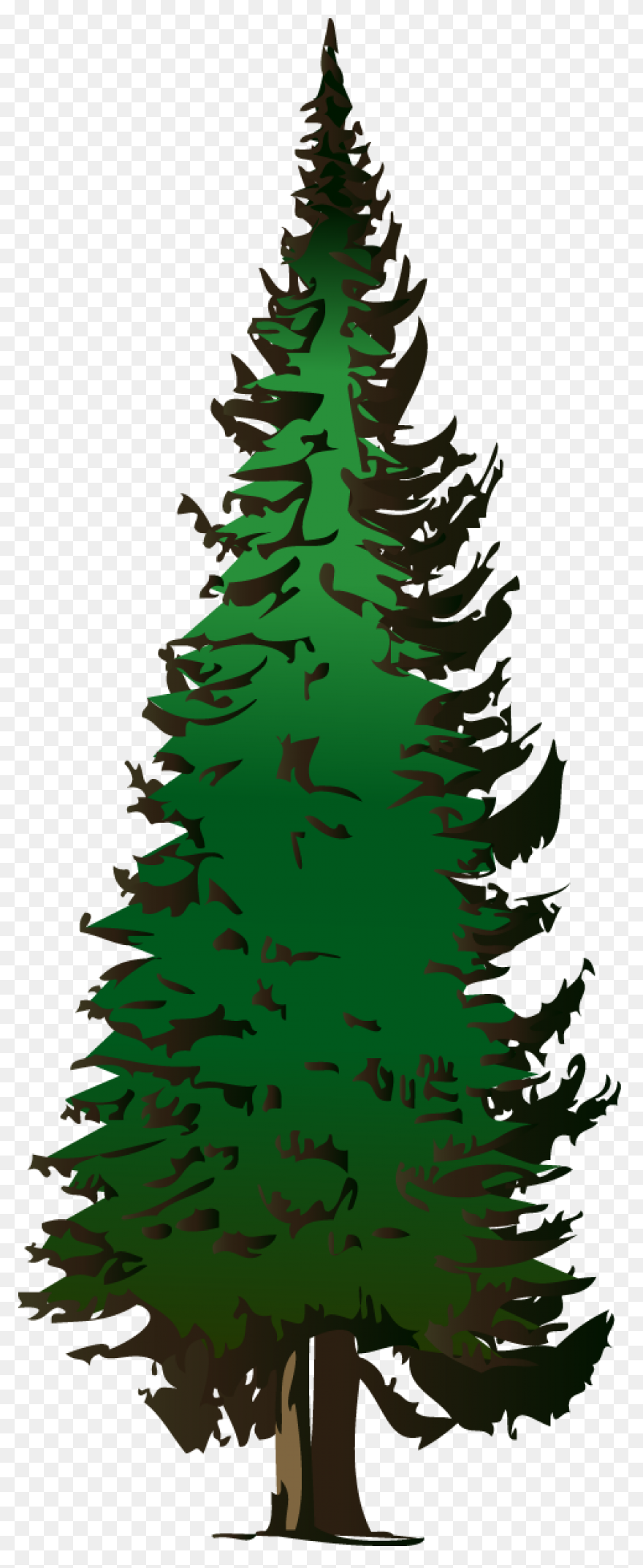 Pine Tree Clipart Free Images - Pine