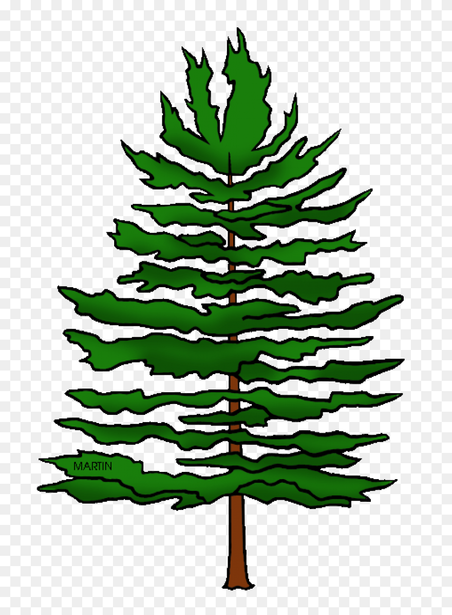 Pine Tree Clipart Free Images 2 - C