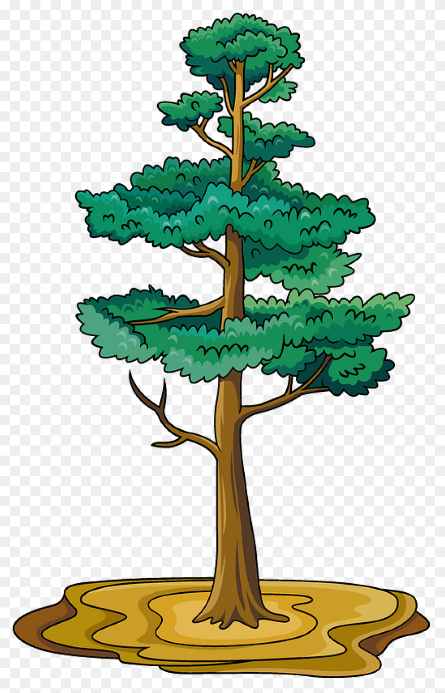 Pine Tree Clipart Free Images 2 - C