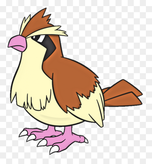 Pidgey | Vs Battles Wiki | ClipartF
