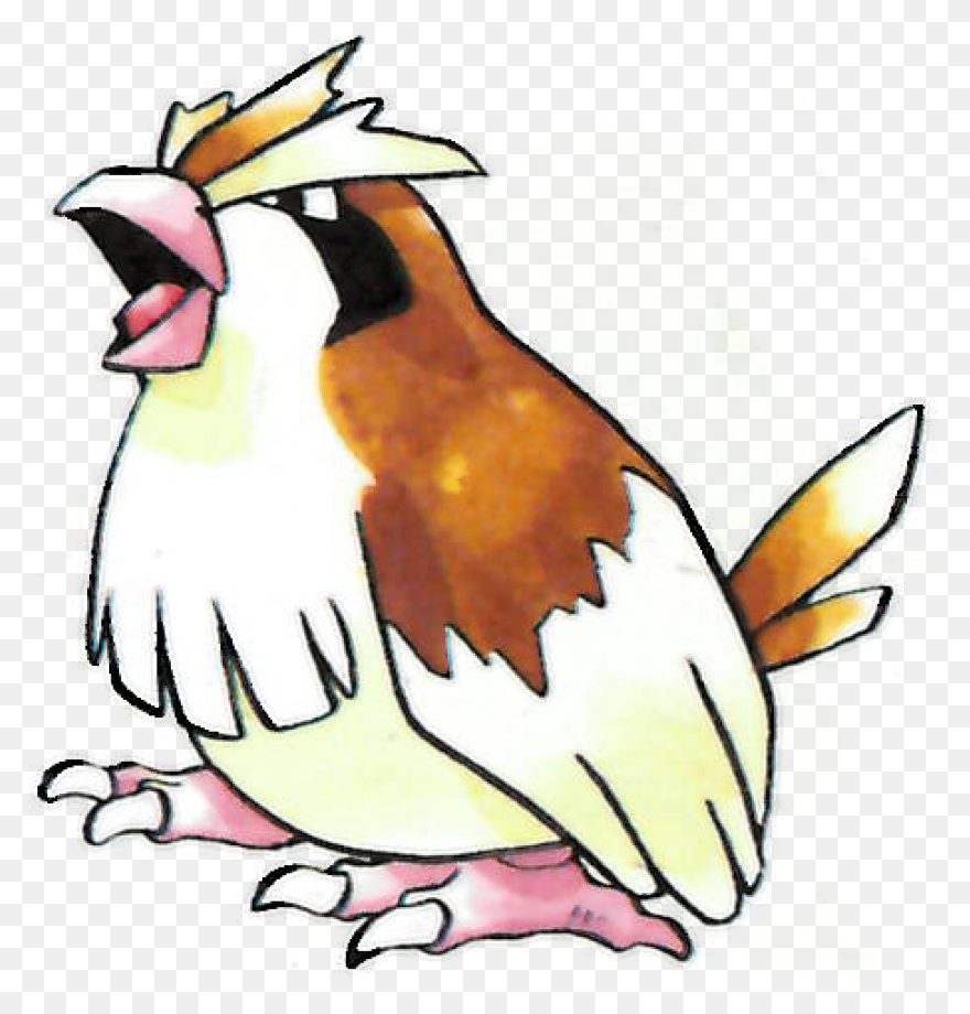 Pidgey | Vs Battles Wiki | ClipartF