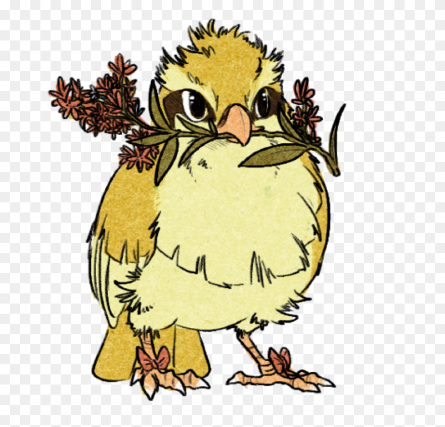 Pidgey | Vs Battles Wiki | ClipartF