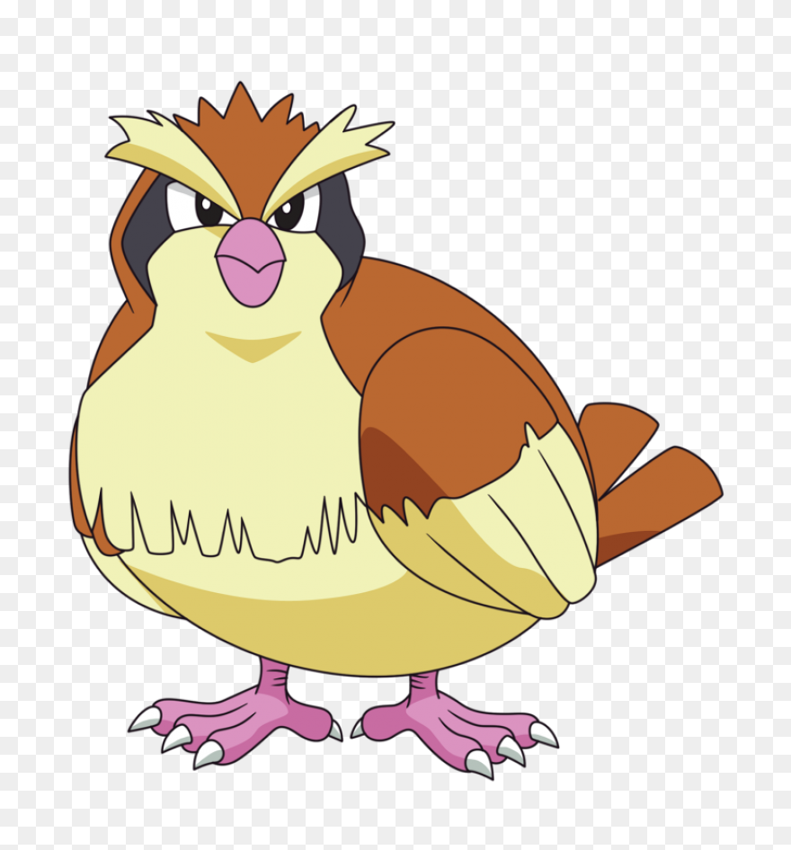 Pidgey | Vs Battles Wiki | ClipartF