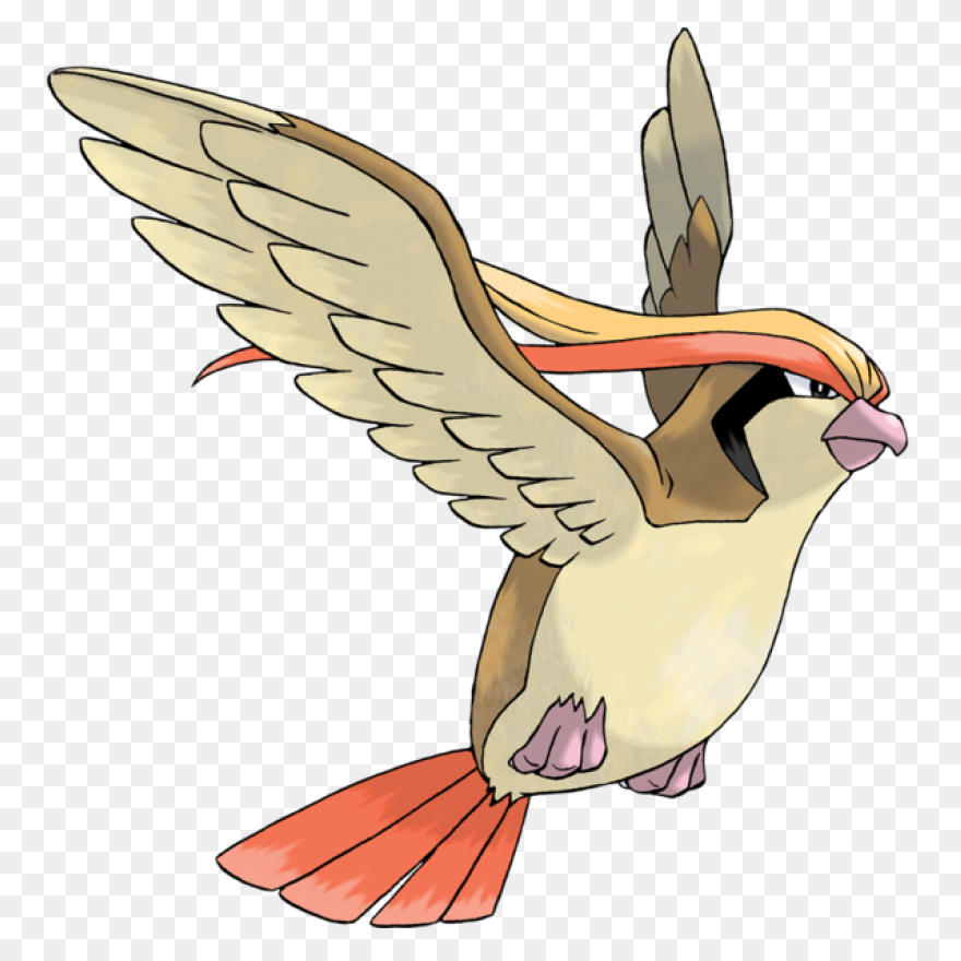 Pidgey | Vs Battles Wiki | ClipartF