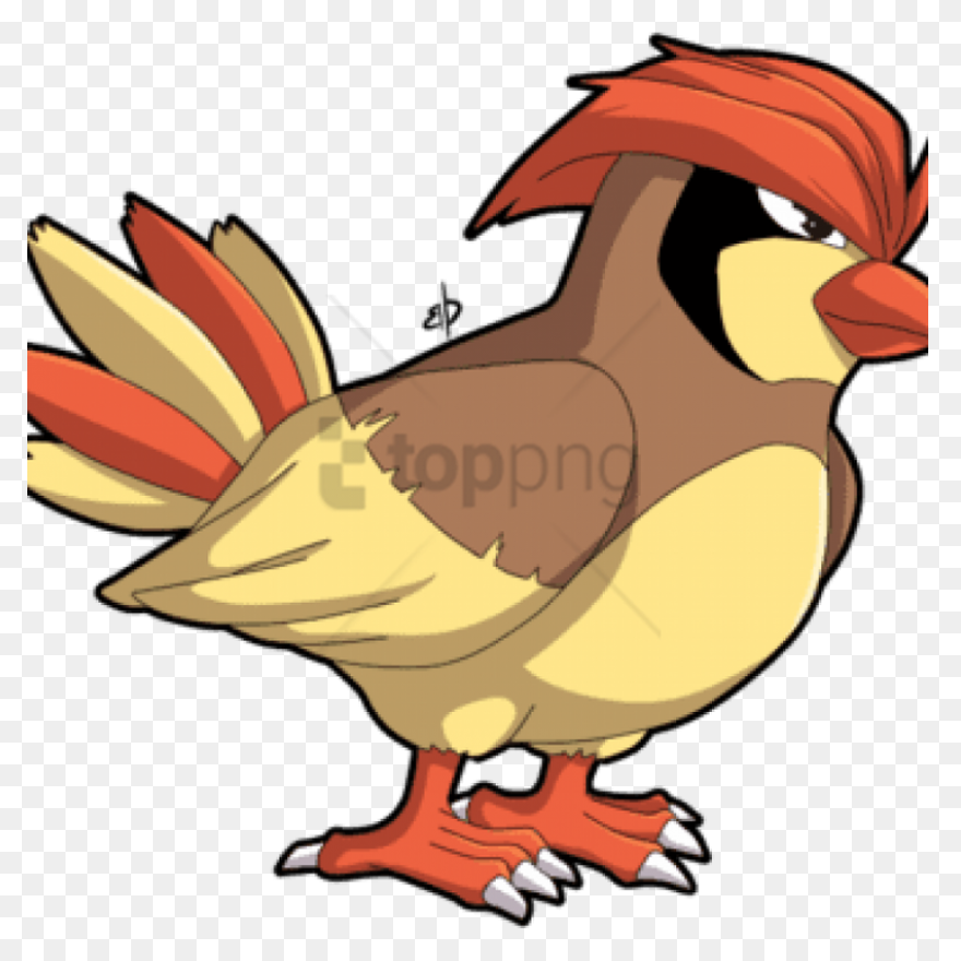 Pidgey | Vs Battles Wiki | ClipartF