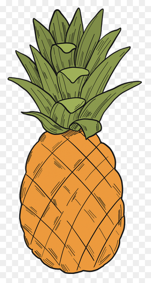 Fruit Ananas Pineapple Fruit Clipar