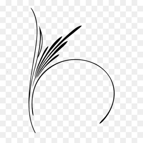 Pinstripe Designs | Pinstriping Designs - Pinstripe