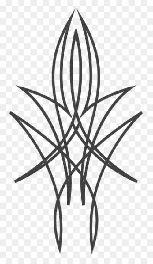 Pinstripe Designs | Pinstriping Des