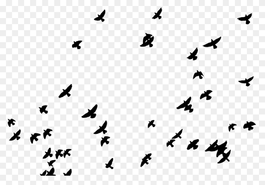 Popular And Trending #freetoedit St