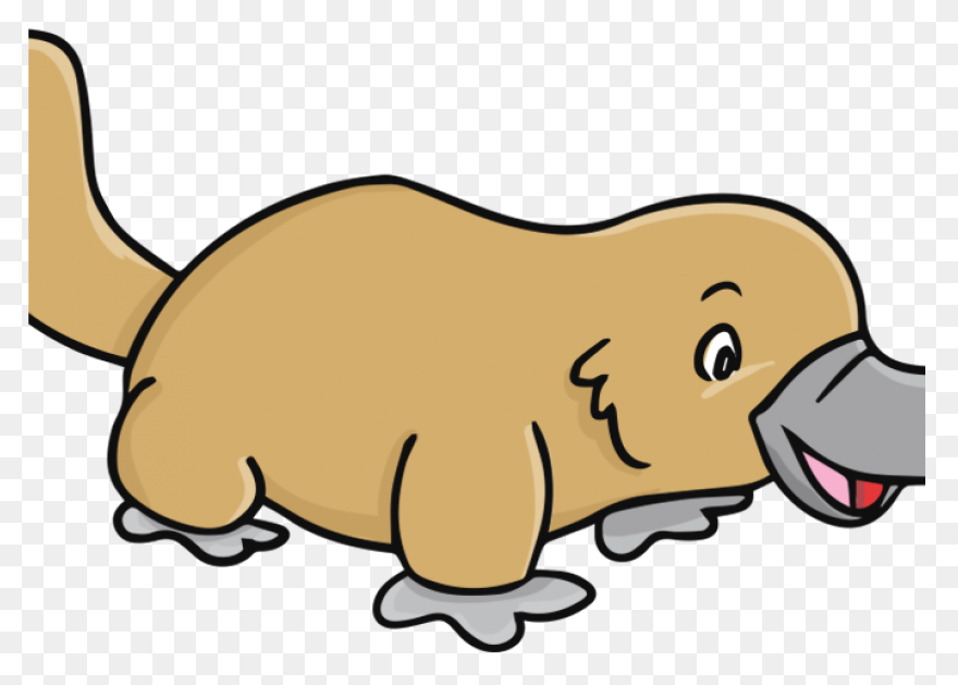 Platypus Pictures Cartoon | Platypu