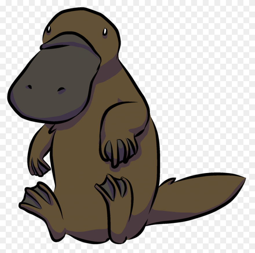 Platypus Pictures Cartoon | Platypu