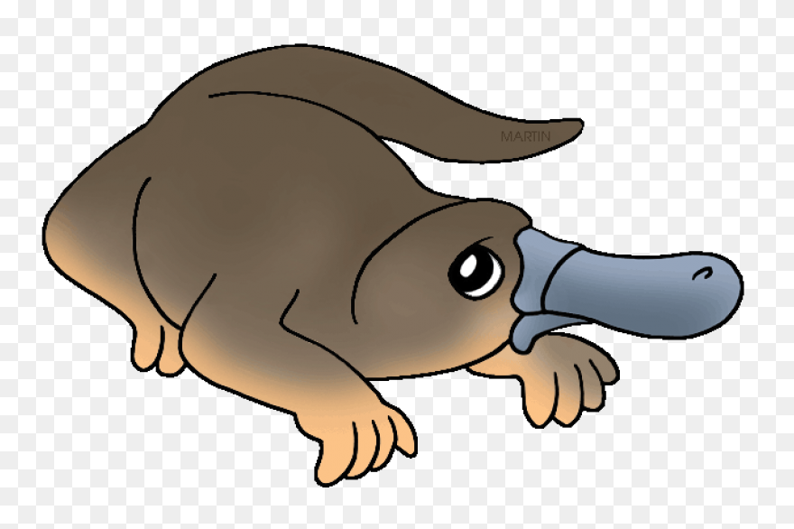 Platypus Pictures Cartoon | Platypu