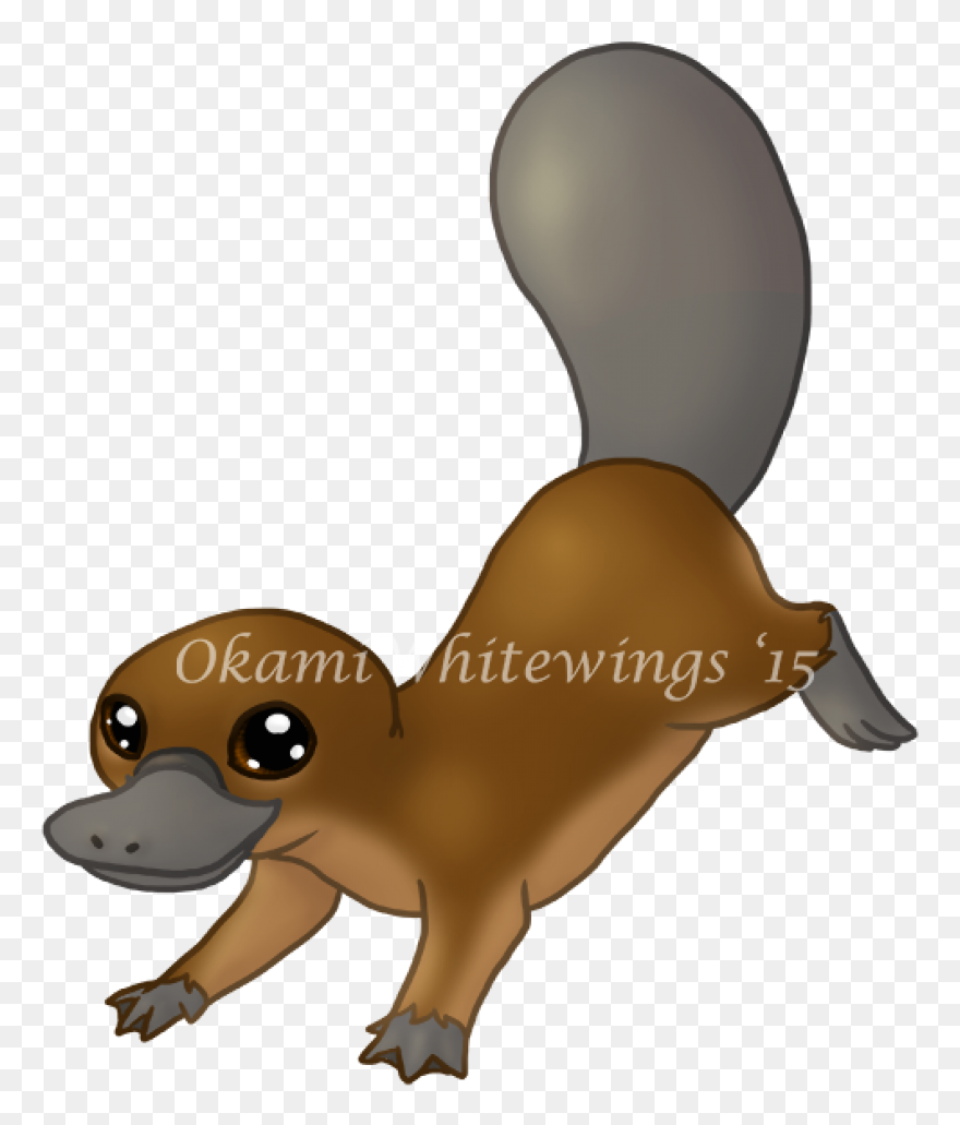 Platypus Pictures Cartoon | Platypu