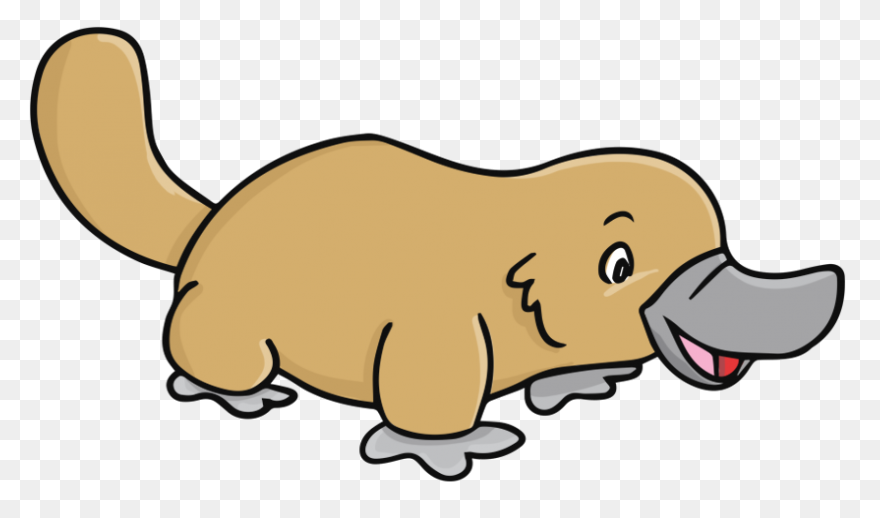 Platypus Pictures Cartoon | Platypu