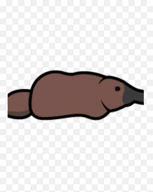 Platypus Pictures Cartoon | Platypu