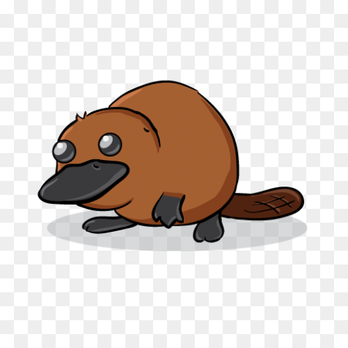 Platypus Pictures Cartoon | Platypu
