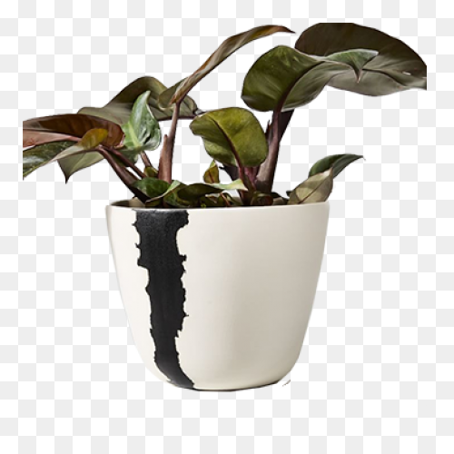 Large Planter (Dead Rising 2) | Dea