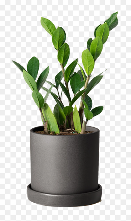 Large Planter (Dead Rising 2) | Dea