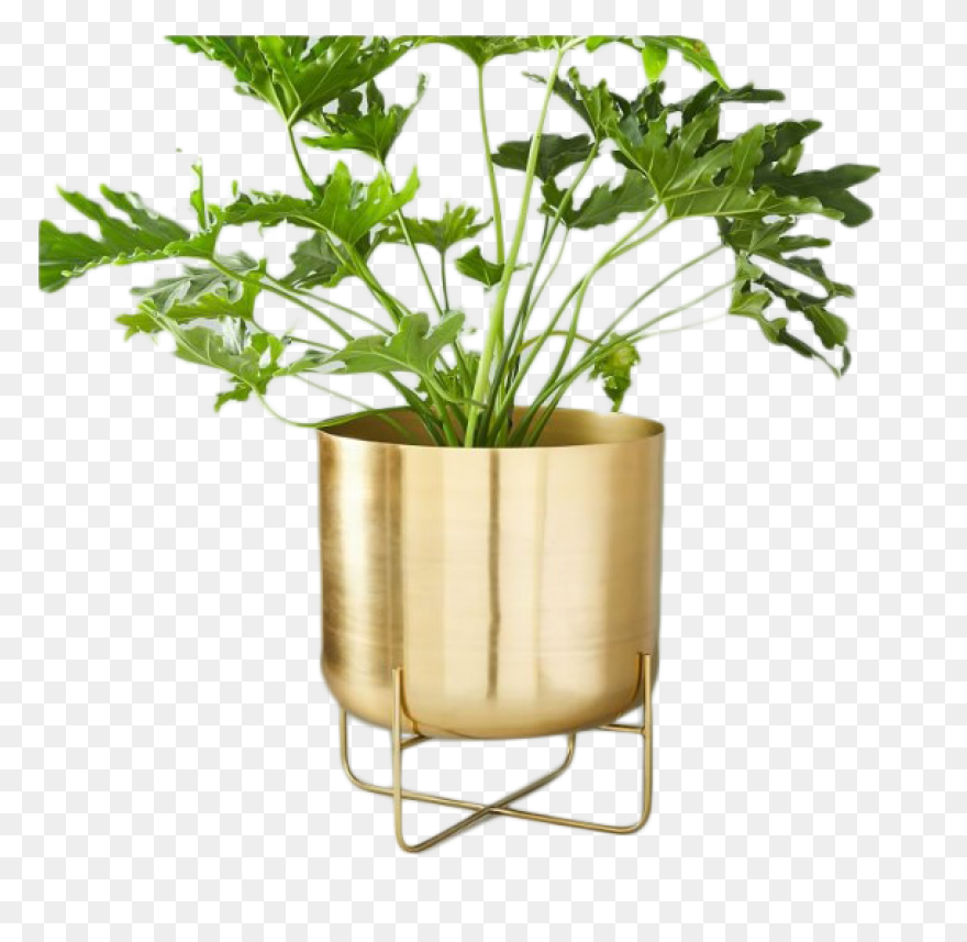 Large Planter (Dead Rising 2) | Dea
