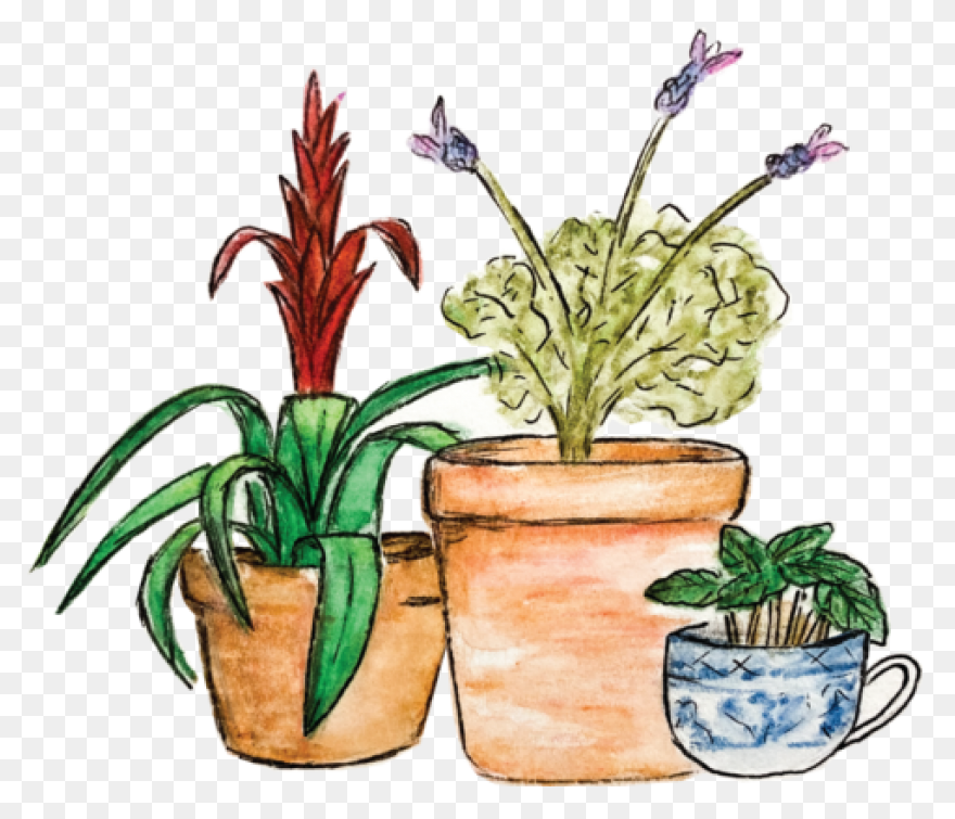 Large Planter (Dead Rising 2) | Dea