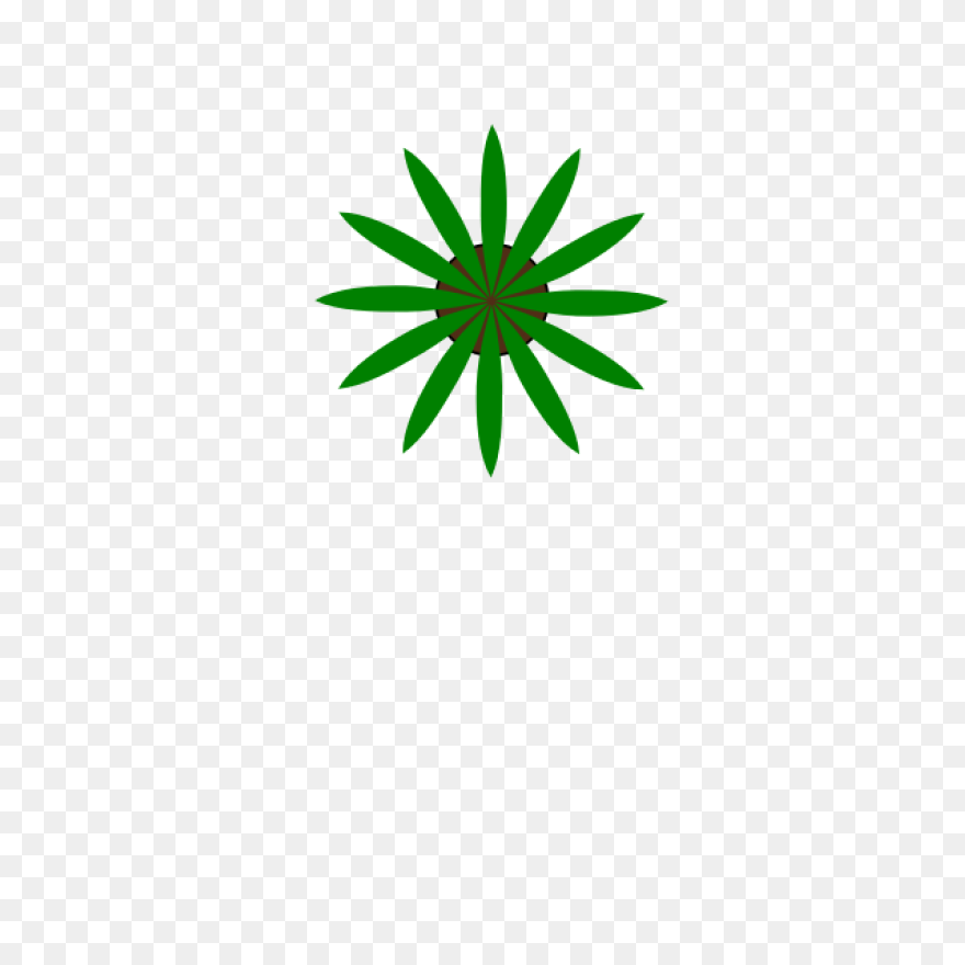 Free Tree Plan View Png - Palm Tree