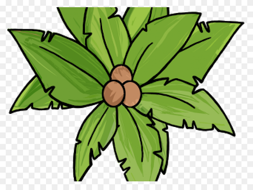 Free Tree Plan View Png - Palm Tree