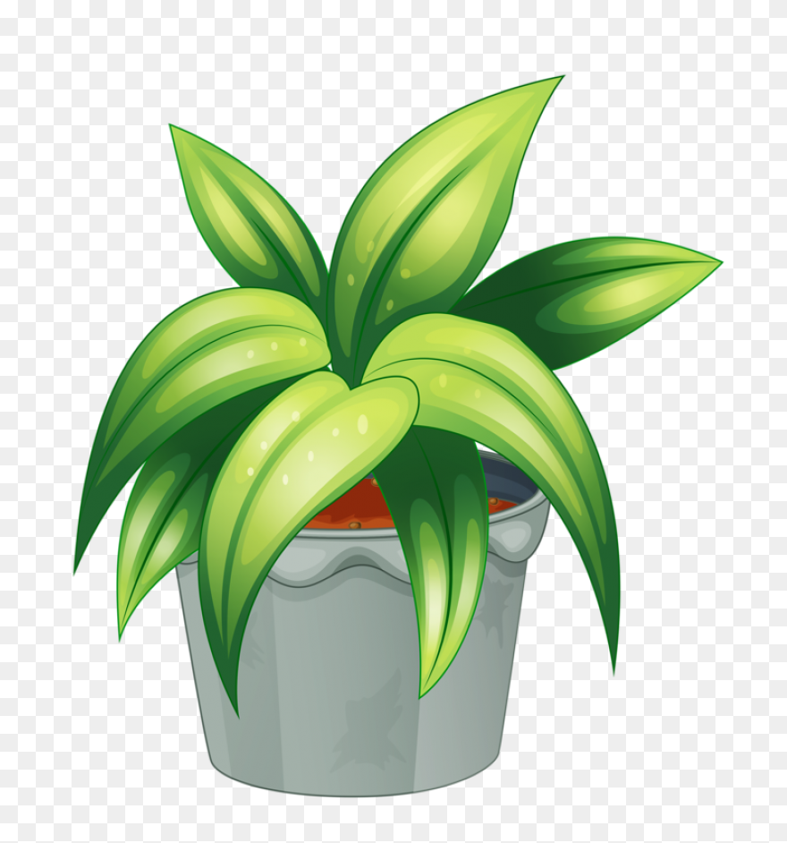 Plant Clip Art - Plant Image