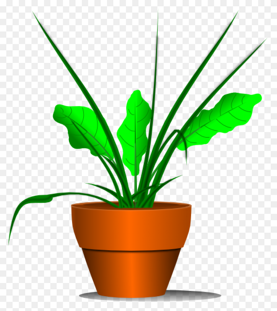 Plant Clip Art - Plant Image