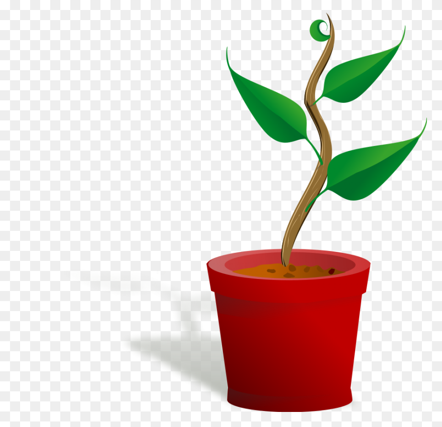 Plant Clip Art - Plant Image