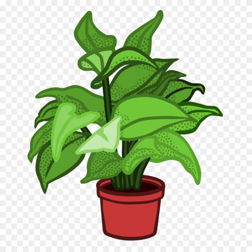 Plant Clip Art - Plant Image