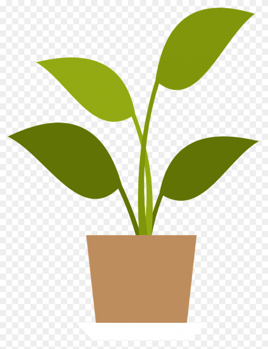 Plant Clip Art - Plant Image