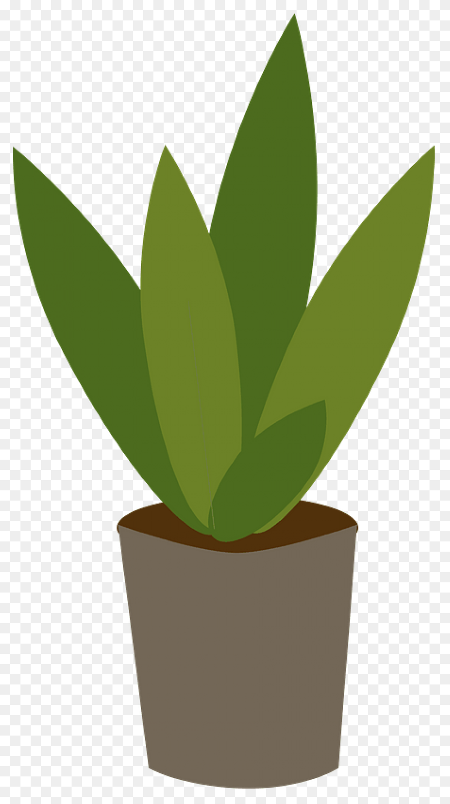 Plant Clip Art - Plant Image