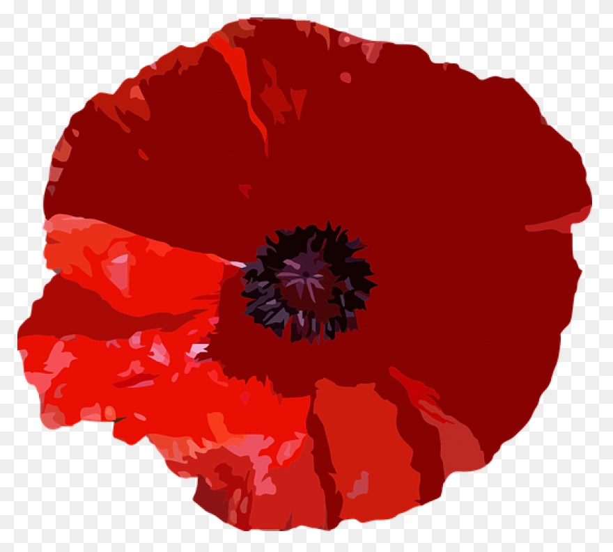 Poppy Clipart Red Poppy - Memorial 