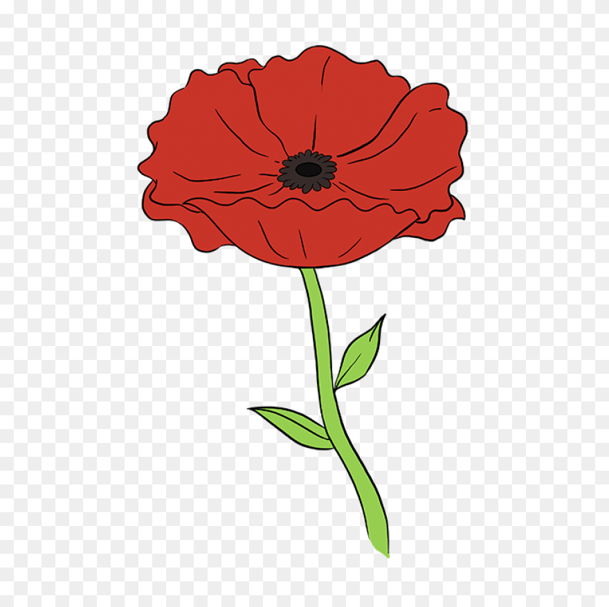 Poppy Clipart Red Poppy - Memorial 