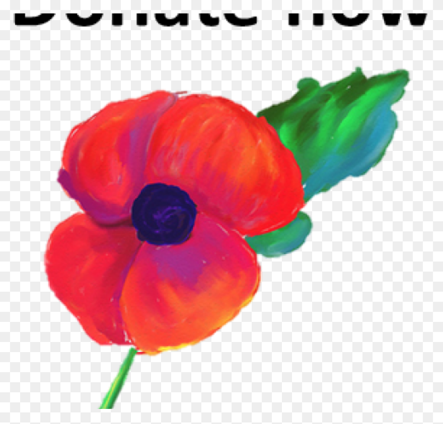 Poppy Clipart Red Poppy - Memorial 